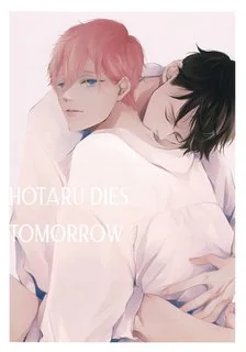 Ngày Mai, Ngày Hotaru ra đi